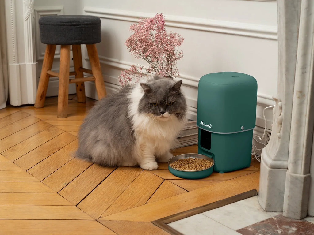 Distributeur Croquettes Connecté - Bandit 4L Chat & Petit Chien