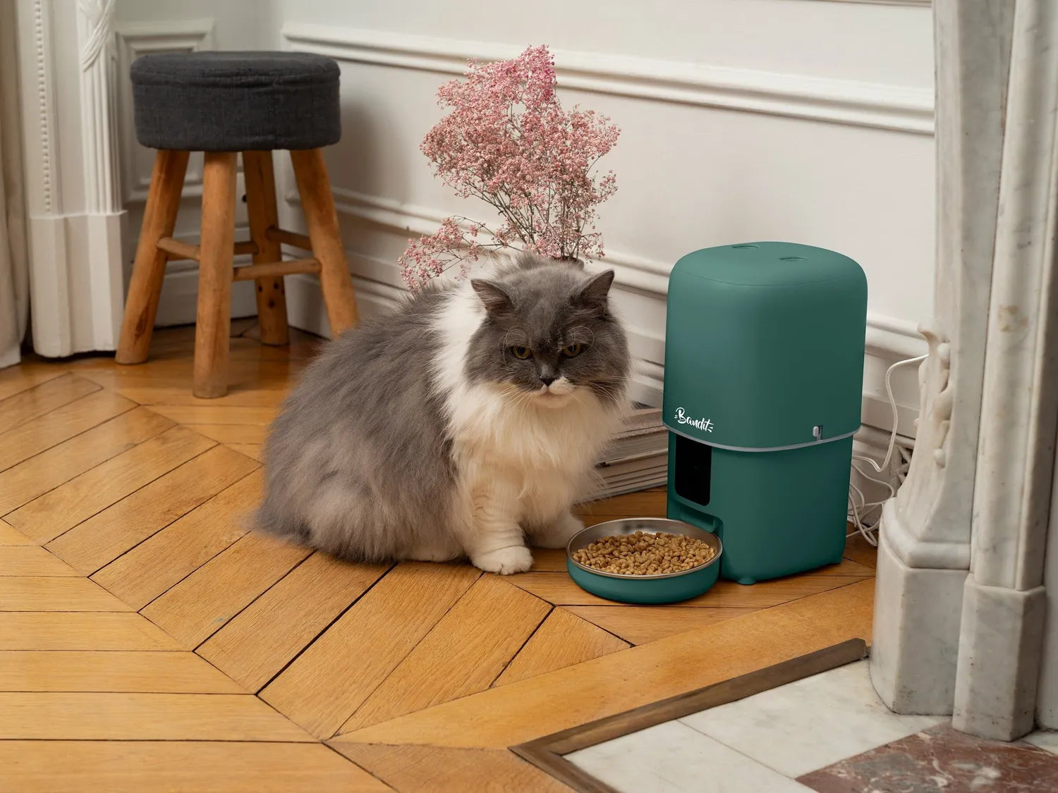 Distributeur Croquettes Connecté - Bandit 4L Chat & Petit Chien