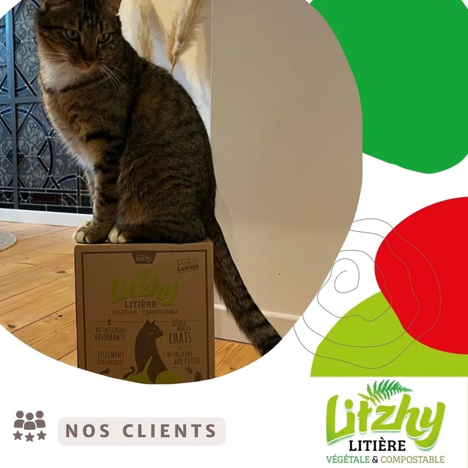 Litière végétale pour chat en vrac - Litzhy Landes Bretonnes